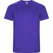 Спортивная футболка IMOLA мужская, ЛИЛОВЫЙ XL арт. CA04270463