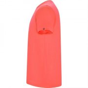 Спортивная футболка IMOLA мужская, КОРАЛЛОВЫЙ ФЛУОРЕСЦЕНТНЫЙ XL арт. CA042704234 Спортивная футболка IMOLA мужская, КОРАЛЛОВЫЙ ФЛУОРЕСЦЕНТНЫЙ XL арт. CA042704234