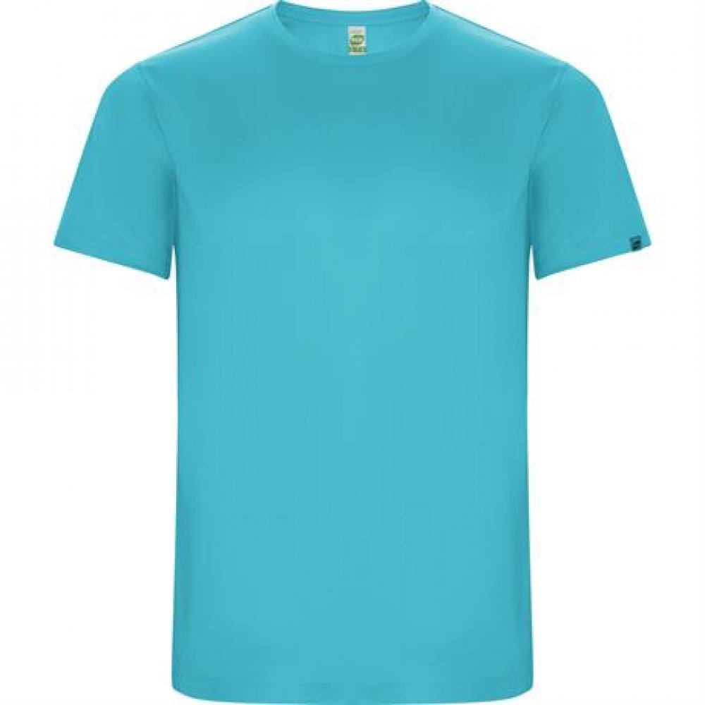 Спортивная футболка IMOLA мужская, БИРЮЗОВЫЙ XL арт. CA04270412 Спортивная футболка IMOLA мужская, БИРЮЗОВЫЙ XL арт. CA04270412