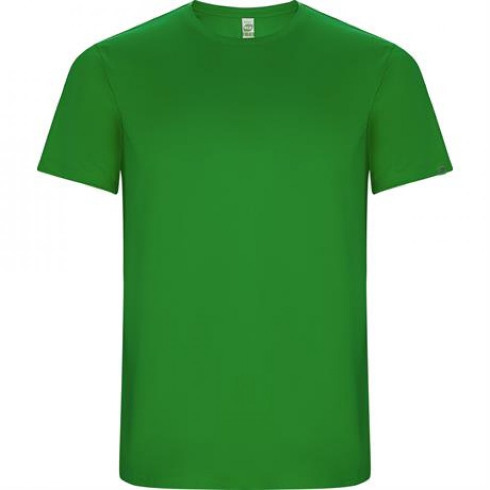 Спортивная футболка IMOLA мужская, ПАПАРОТНИКОВЫЙ L арт. CA042703226 Спортивная футболка IMOLA мужская, ПАПАРОТНИКОВЫЙ L арт. CA042703226