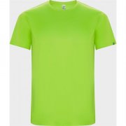 Спортивная футболка IMOLA мужская, ФЛУОРЕСЦЕНТНЫЙ ЗЕЛЕНЫЙ L арт. CA042703222