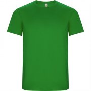Спортивная футболка IMOLA мужская, ПАПАРОТНИКОВЫЙ M арт. CA042702226