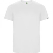 Спортивная футболка IMOLA мужская, БЕЛЫЙ M арт. CA04270201 Спортивная футболка IMOLA мужская, БЕЛЫЙ M арт. CA04270201