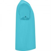 Спортивная футболка IMOLA мужская, БИРЮЗОВЫЙ S арт. CA04270112 Спортивная футболка IMOLA мужская, БИРЮЗОВЫЙ S арт. CA04270112