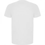 Спортивная футболка IMOLA мужская, БЕЛЫЙ S арт. CA04270101
