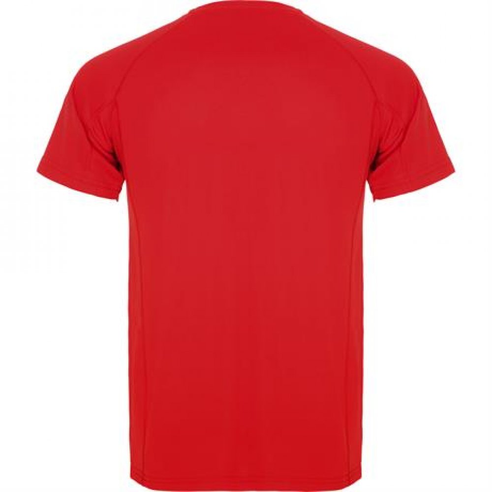 Спортивная футболка MONTECARLO мужская, КРАСНЫЙ 2XL арт. CA04250560 Спортивная футболка MONTECARLO мужская, КРАСНЫЙ 2XL арт. CA04250560