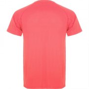 Спортивная футболка MONTECARLO мужская, КОРАЛЛОВЫЙ ФЛУОРЕСЦЕНТНЫЙ 2XL арт. CA042505234 Спортивная футболка MONTECARLO мужская, КОРАЛЛОВЫЙ ФЛУОРЕСЦЕНТНЫЙ 2XL арт. CA042505234