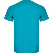 Спортивная футболка MONTECARLO мужская, БИРЮЗОВЫЙ 2XL арт. CA04250512
