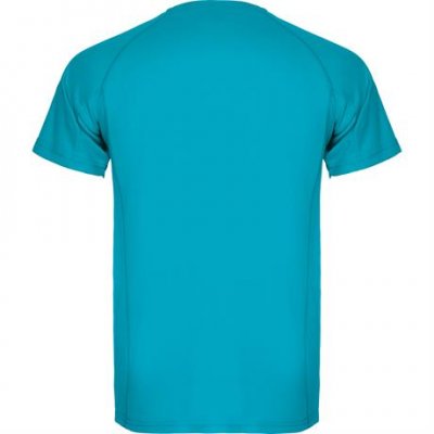 Спортивная футболка MONTECARLO мужская, БИРЮЗОВЫЙ 2XL арт. CA04250512