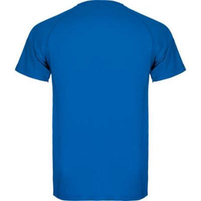Спортивная футболка MONTECARLO мужская, КОРОЛЕВСКИЙ СИНИЙ 2XL