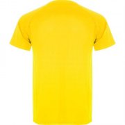 Спортивная футболка MONTECARLO мужская, ЖЕЛТЫЙ 2XL арт. CA04250503 Спортивная футболка MONTECARLO мужская, ЖЕЛТЫЙ 2XL арт. CA04250503
