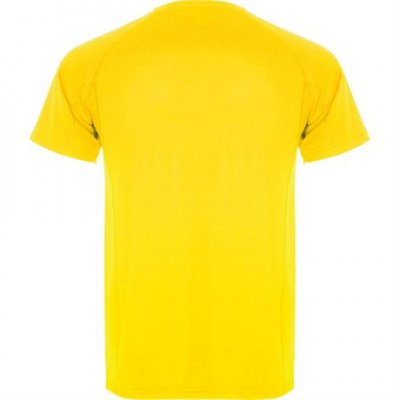 Спортивная футболка MONTECARLO мужская, ЖЕЛТЫЙ 2XL арт. CA04250503