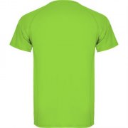 Спортивная футболка MONTECARLO мужская, ЛАЙМОВЫЙ XL арт. CA042504225 Спортивная футболка MONTECARLO мужская, ЛАЙМОВЫЙ XL арт. CA042504225