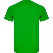 Спортивная футболка MONTECARLO мужская, ПАПАРОТНИКОВЫЙ M арт. CA042502226 Спортивная футболка MONTECARLO мужская, ПАПАРОТНИКОВЫЙ M арт. CA042502226