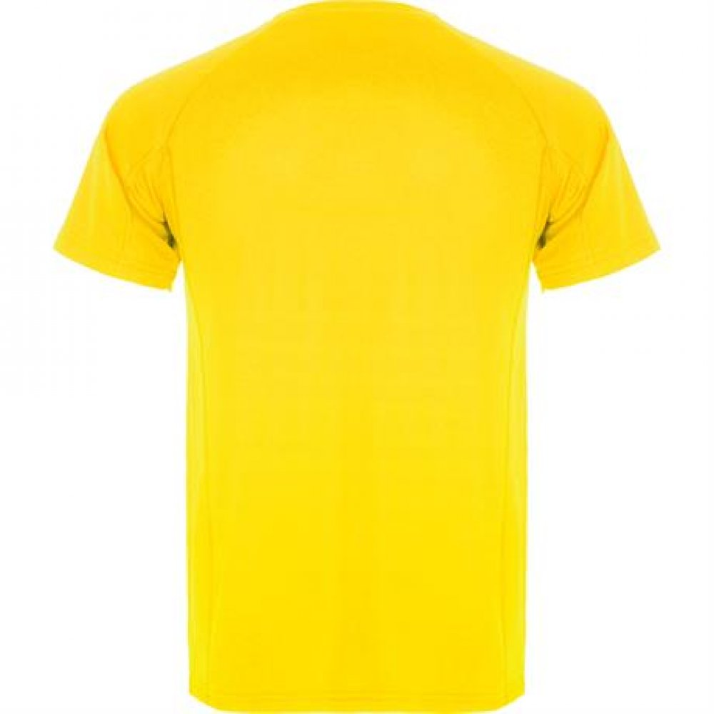 Спортивная футболка MONTECARLO мужская, ЖЕЛТЫЙ M арт. CA04250203 Спортивная футболка MONTECARLO мужская, ЖЕЛТЫЙ M арт. CA04250203