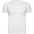 Спортивная футболка MONTECARLO мужская, БЕЛЫЙ S