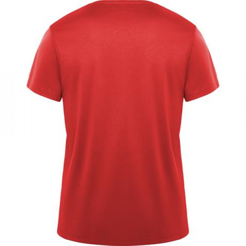 Спортивная футболка DAYTONA унисекс, КРАСНЫЙ 3XL арт. CA04200660 Спортивная футболка DAYTONA унисекс, КРАСНЫЙ 3XL арт. CA04200660