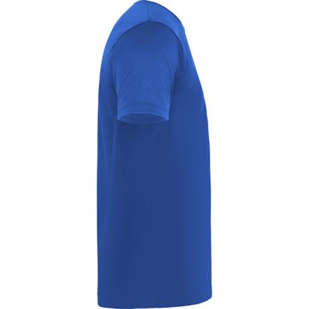 Спортивная футболка DAYTONA унисекс, КОРОЛЕВСКИЙ СИНИЙ 3XL арт. CA04200605 Спортивная футболка DAYTONA унисекс, КОРОЛЕВСКИЙ СИНИЙ 3XL арт. CA04200605