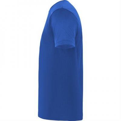 Спортивная футболка DAYTONA унисекс, КОРОЛЕВСКИЙ СИНИЙ 3XL арт. CA04200605
