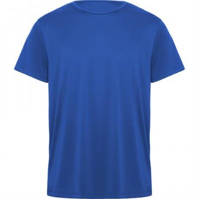 Спортивная футболка DAYTONA унисекс, КОРОЛЕВСКИЙ СИНИЙ 3XL арт. CA04200605