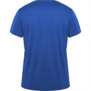 Спортивная футболка DAYTONA унисекс, КОРОЛЕВСКИЙ СИНИЙ 3XL
