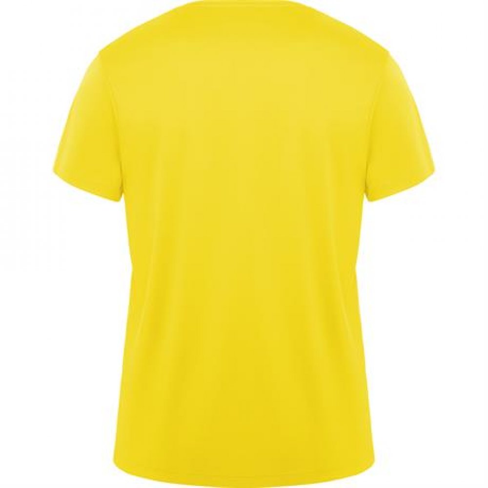 Спортивная футболка DAYTONA унисекс, ЖЕЛТЫЙ 2XL арт. CA04200503 Спортивная футболка DAYTONA унисекс, ЖЕЛТЫЙ 2XL арт. CA04200503