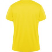 Спортивная футболка DAYTONA унисекс, ЖЕЛТЫЙ 2XL