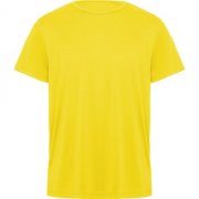 Спортивная футболка DAYTONA унисекс, ЖЕЛТЫЙ 2XL