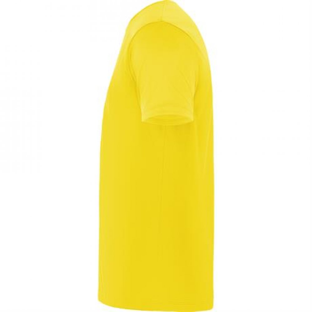 Спортивная футболка DAYTONA унисекс, ЖЕЛТЫЙ 2XL арт. CA04200503 Спортивная футболка DAYTONA унисекс, ЖЕЛТЫЙ 2XL арт. CA04200503