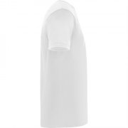 Спортивная футболка DAYTONA унисекс, БЕЛЫЙ 2XL арт. CA04200501