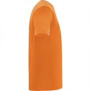 Спортивная футболка DAYTONA унисекс, ОРАНЖЕВЫЙ XL арт. CA04200431