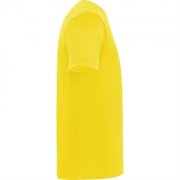 Спортивная футболка DAYTONA унисекс, ЖЕЛТЫЙ XL арт. CA04200403