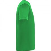 Спортивная футболка DAYTONA унисекс, ПАПАРОТНИКОВЫЙ L арт. CA042003226 Спортивная футболка DAYTONA унисекс, ПАПАРОТНИКОВЫЙ L арт. CA042003226