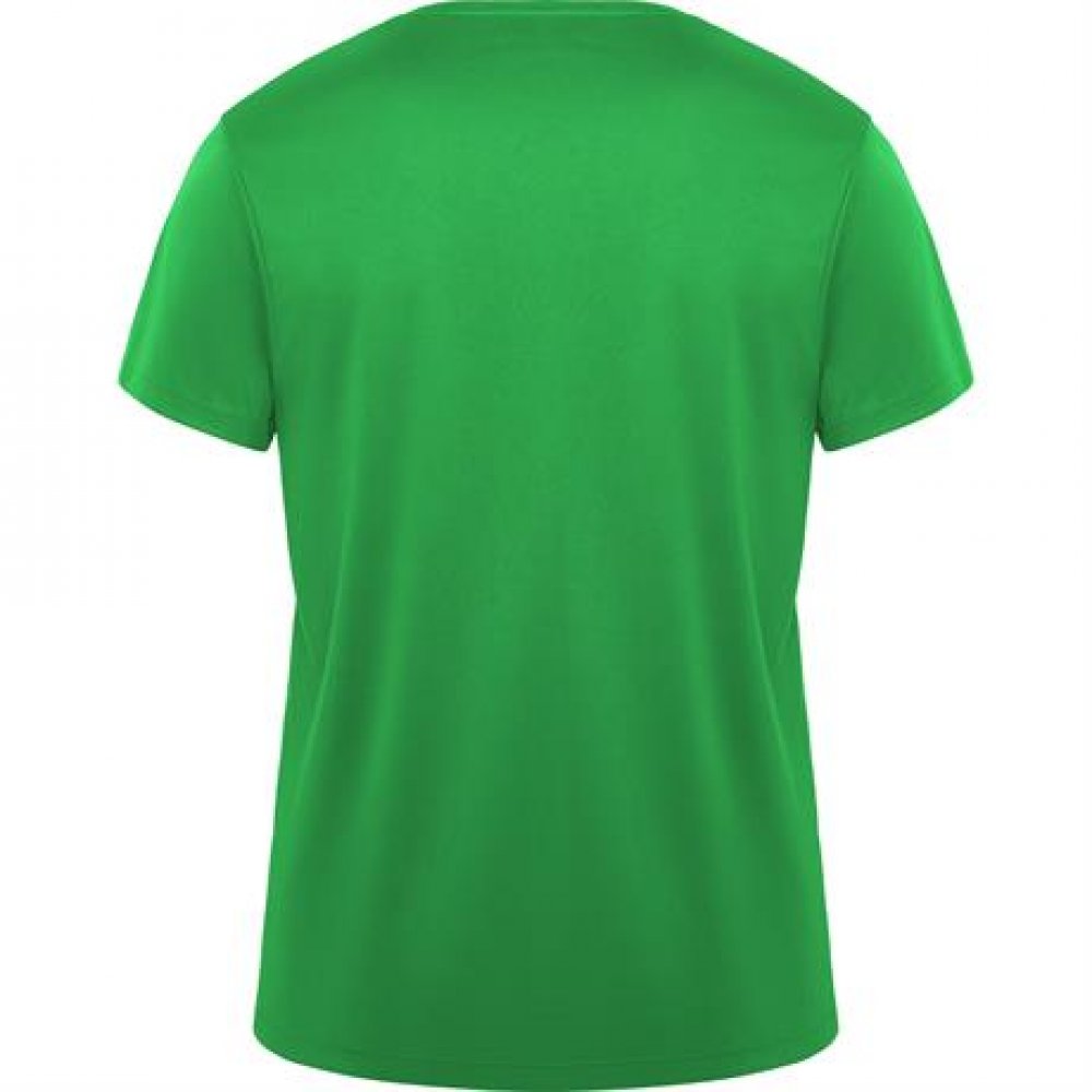 Спортивная футболка DAYTONA унисекс, ПАПАРОТНИКОВЫЙ M арт. CA042002226 Спортивная футболка DAYTONA унисекс, ПАПАРОТНИКОВЫЙ M арт. CA042002226