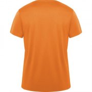 Спортивная футболка DAYTONA унисекс, ОРАНЖЕВЫЙ S арт. CA04200131 Спортивная футболка DAYTONA унисекс, ОРАНЖЕВЫЙ S арт. CA04200131