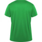 Спортивная футболка DAYTONA унисекс, ПАПАРОТНИКОВЫЙ S арт. CA042001226