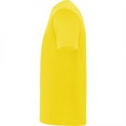 Спортивная футболка DAYTONA унисекс, ЖЕЛТЫЙ S арт. CA04200103 Спортивная футболка DAYTONA унисекс, ЖЕЛТЫЙ S арт. CA04200103