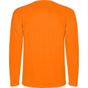 Спортивная футболка MONTECARLO L/S мужская, ФЛУОРЕСЦЕНТНЫЙ ОРАНЖЕВЫЙ S арт. CA041501223