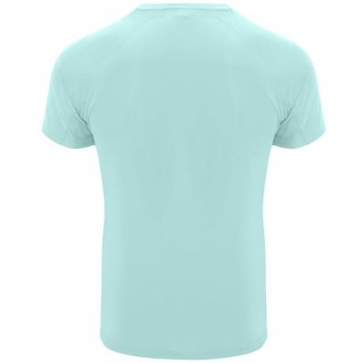 Спортивная футболка BAHRAIN мужская, МЯТНЫЙ ЗЕЛЕНЫЙ 2XL арт. CA04070598