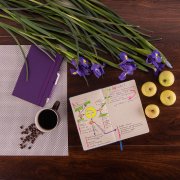 Бизнес-блокнот GRACY на резинке, формат А5, в линейку Коричневый арт. 21223/33