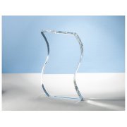 Награда «Ocean Glitz»