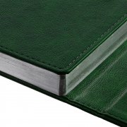 Ежедневник Flap, недатированный, зеленый арт. 16684.99 Ежедневник Flap, недатированный, зеленый арт. 16684.99