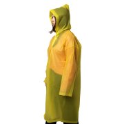 Дождевик Дождевик