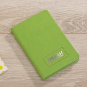 Шильд металлический, покрытие soft touch, подложка хром зеленое яблоко