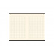 Ежедневник недатированный А5 «Metropol»