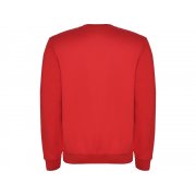 Свитшот с начесом «Clasica» детский арт. 1070460