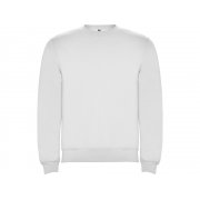 Свитшот с начесом «Clasica» детский арт. 1070401