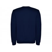 Свитшот с начесом «Clasica» детский арт. 1070455