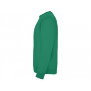 Свитшот с начесом «Clasica» детский арт. 1070420