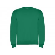 Свитшот с начесом «Clasica» детский арт. 1070420